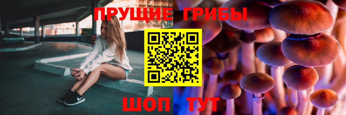 Энгельс  Галлюциногенные грибы мухоморы  Галлюциногенные грибы мухоморы  как найти закладки  Вход с VPN 