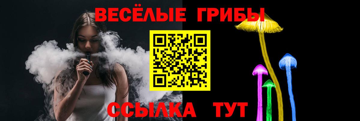 Псилоцибиновые грибы Cubensis Энгельс